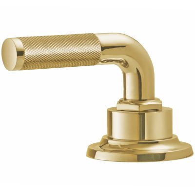 Lifetime Polished Gold PVD Handle