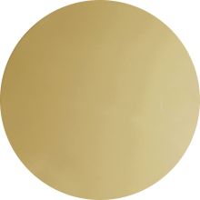 Lifetime Polished Gold